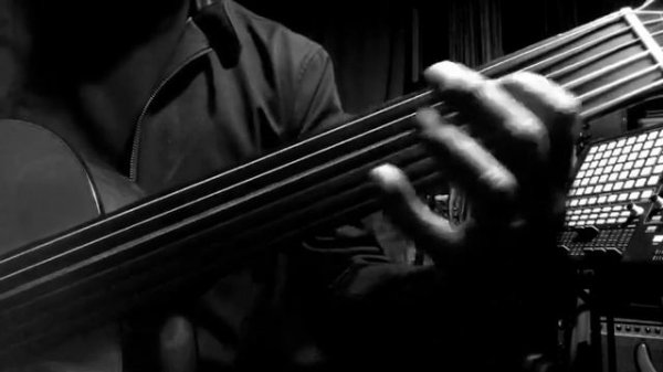 Fretless Microtonal Acoustic Guitar - Predesiz Gitar