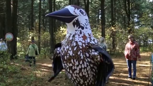 Экскурсия в Лучаново-Ипатовский кедровник