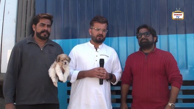 Dogs & Cats Market Saddar Sunday Video Latest Update 5-2-2023 in Urdu/Hindi смотреть онлайн