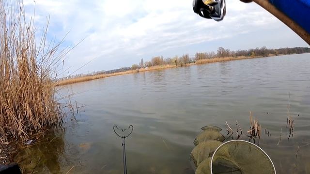 КРУПНЫЙ КАРАСЬ В АПРЕЛЕ. Ловля карася на фидер в черте города смотреть онлайн