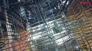 Asko Почему стоит выбрать посудомоечную машину ASKO