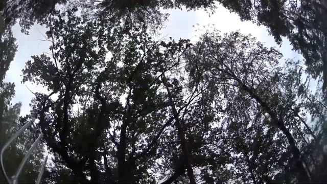 Экстремалные погодные условия !Не останавливают подводного охотника ! смотреть онлайн