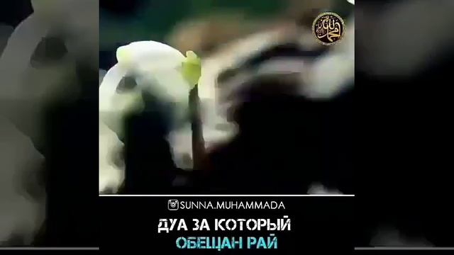 Дуа за который обещан рай смотреть онлайн