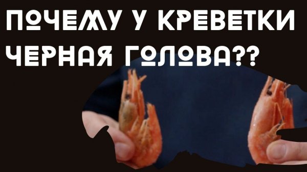 Почему у креветки черная голова?