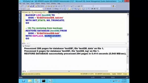 SQL Server Database Recovery Techniques 14