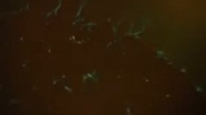 Киножурнал  Хочу всё знать  №47