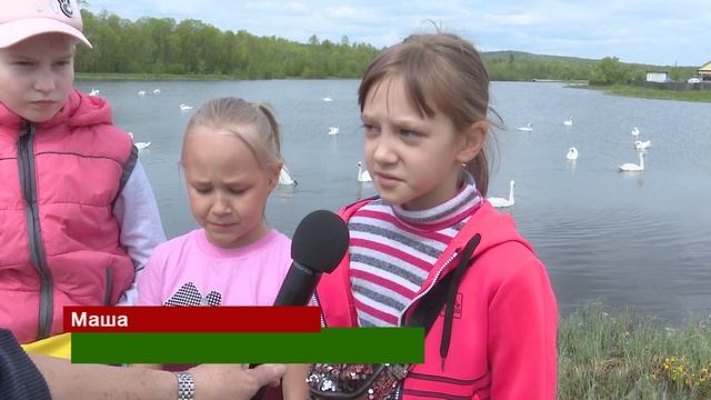 Шипуны и кликуны на пруду Черёмухово. смотреть онлайн