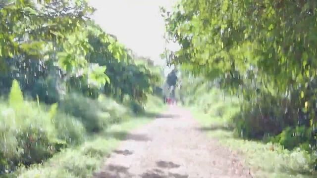 Relaxing Bike Ride to Rail Corridor from 9 Mile Platform Hillview node @ Rail Mall Hillview MRT Stn смотреть онлайн