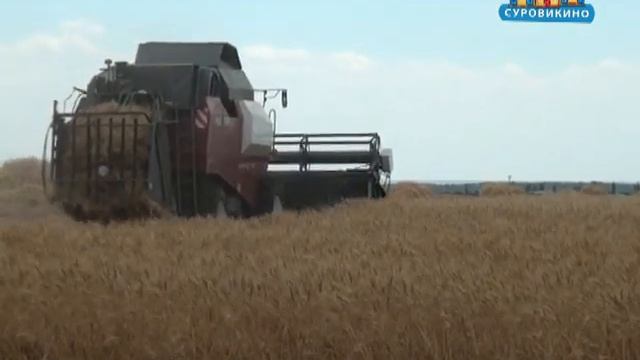 Праздник Первого снопа в ПЗК "Путь Ленина" смотреть онлайн