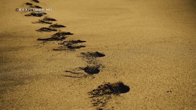 ЧТО ТАКОЕ ПЕСОК? смотреть онлайн