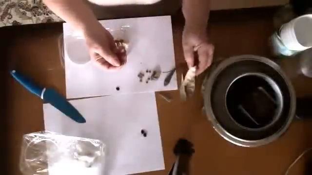 Глициния королева лиана. Посадка. смотреть онлайн