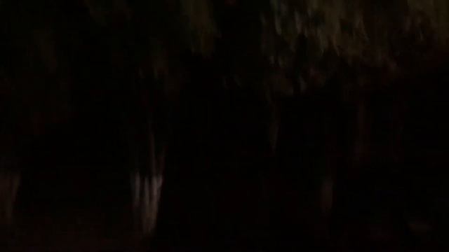 Ц1ОНТРОЙ В САНАТОРИИ КАСПИЙ; ВЫГОДНОЕ ПРЕДЛОЖЕНИЕ ОТ БАЗЫ ОТДЫХА ДЛЯ ЧЕЧЕНСКОЙ КУХНИ; ЦЕХ ЧАМ-ТАЙНА смотреть онлайн