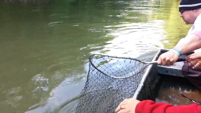 Fish on 3 смотреть онлайн
