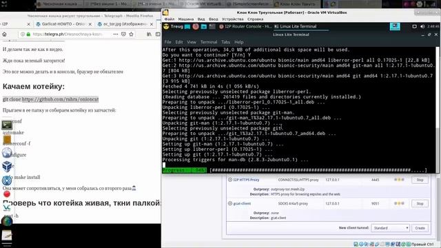 Что такое OnionCat и GarliCat ^ Как приручить чесночную кошку смотреть онлайн