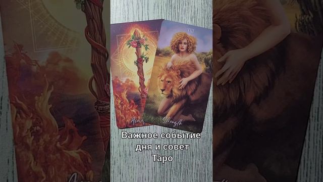 Таро. Важное событие дня и совет карт | Туз жезлов и СА Сила смотреть онлайн