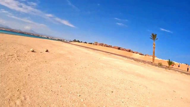 ЕГИПЕТ 2022, PYRAMISA 5* ИДЕМ НА ПЛЯЖ, МЫ ЗАМЕРЗЛИ! ХОЛОДНО! #Зверюга #ЕгипетЗимой #Египет2022 смотреть онлайн