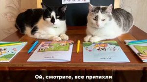 Гимн школы котов Анука давайка.