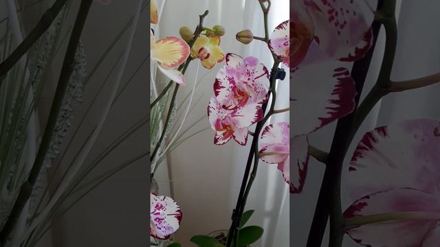 13 октября 2022 г. смотреть онлайн