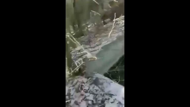 Заброшенный Бугуруслан. ПАТП.