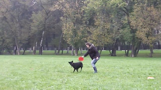 Frisbee Freestyle Морозова Ольга метис Ленни смотреть онлайн