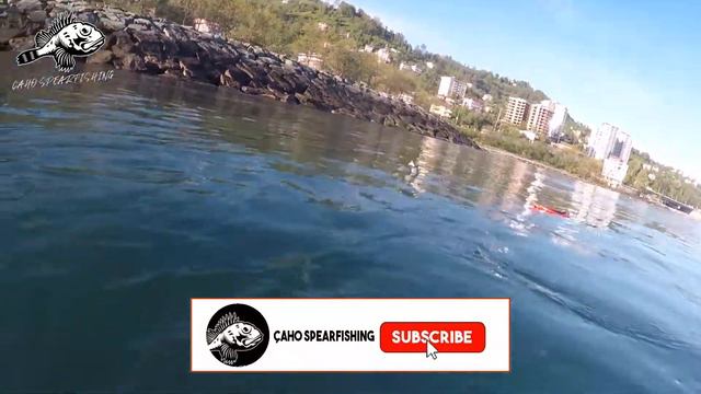 Big mullet under rock | Çaho Spearfishing смотреть онлайн