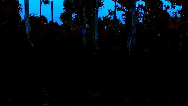 Марджуха | #dayz | #dropshot | #RUBIKON | #zustark