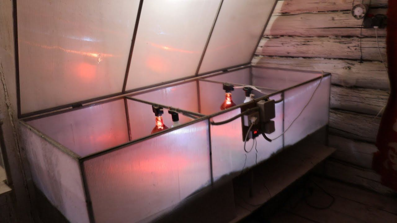 Что стало с курятником после уборки и побелки Выращивание бройлеров смотреть онлайн