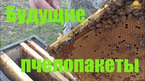 Развитие отводка сжатым гнездом