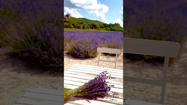 #лаванда#лимонад#ресурсноесостояние#ароматерапия смотреть онлайн