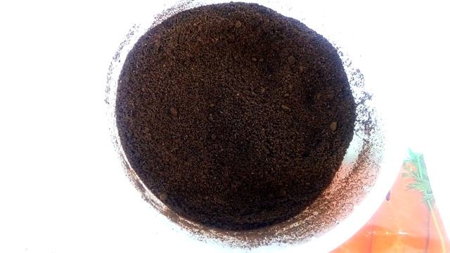 Как? легко посеять морковь используя кофейную гущу /перепревшие опилки для разрыхления почвы смотреть онлайн