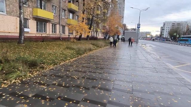 обзорное Жукова 23