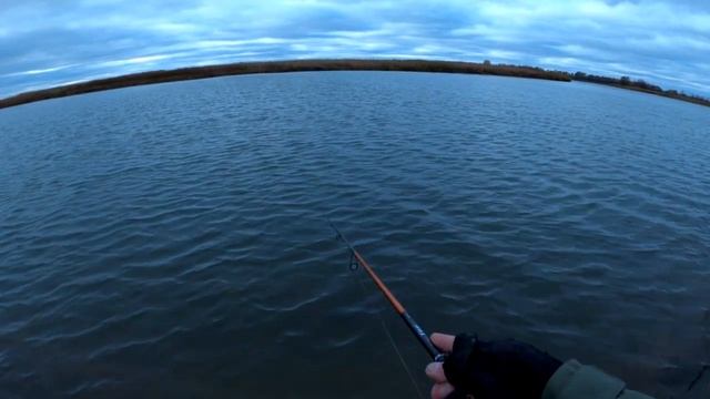 Кто-то сел ХОРОШИЙ, ребят! Ловля хищника с берега смотреть онлайн