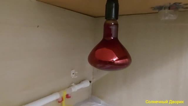 Бройлеры. Брудер своими руками. Брудер для цыплят своими руками с автоматикой. смотреть онлайн