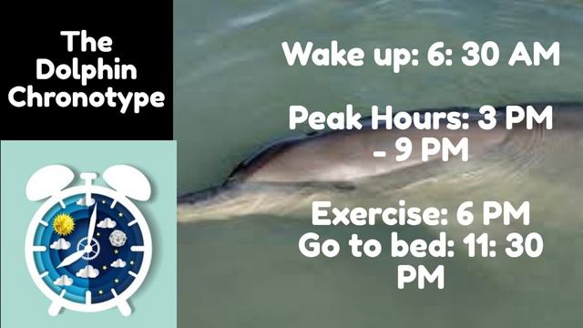 Here's What Your Sleep Cycle Says About You: What Is A Chronotype?