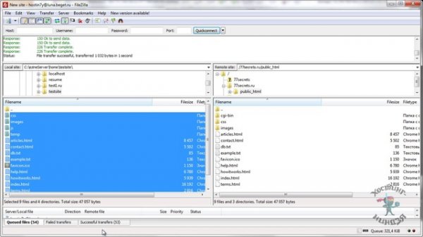 Хостинг beget.ru. Копируем файлы.