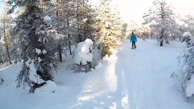 #Finland #HOTELLI ISO-SYOTE #Snowshoewalking Holiday In Finland