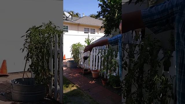 FORKLIFT WONT START смотреть онлайн