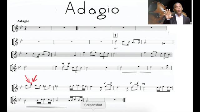 How to Play - ADAGIO IN G MINOR смотреть онлайн