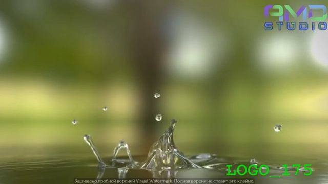 Анимация лого на заказ от AMD Studio (Артикул: LOGO-175) смотреть онлайн
