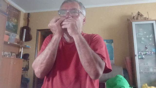 Flower - Miley Cyrus кавер на губной гармошке смотреть онлайн