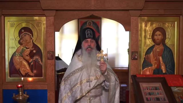 Куда делась совесть_ смотреть онлайн