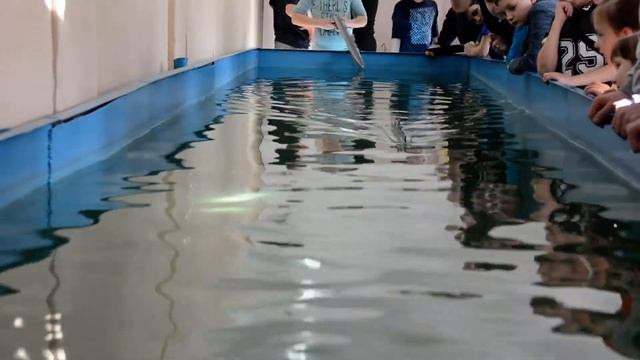 Первенство Челябинской области по судомоделизму смотреть онлайн