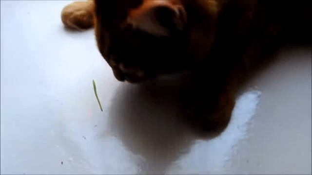 "Вяза-влог № 6"//пряжа NAKO paris и изделия из неё//новая игрушка смотреть онлайн