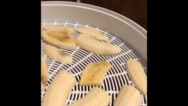 Сушилка ВЕТЕРОК-2 У с поддоном для пастилы смотреть онлайн