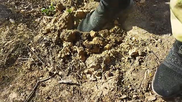 Как прогнать крота с участка смотреть онлайн