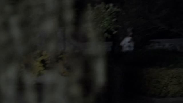 George Romero's OTHER Dead Trilogy - The History of Land, Diary & Survival of the Dead смотреть онлайн