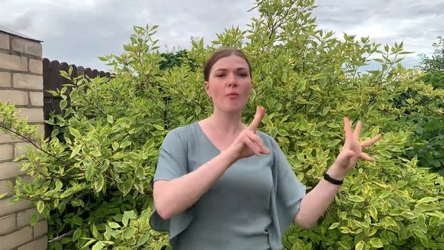 Марина Цветаева - Как правая и левая рука.. смотреть онлайн