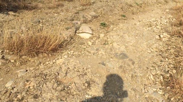 Крым / Коктебель / Поднимаемся по тропе М. Волошина смотреть онлайн