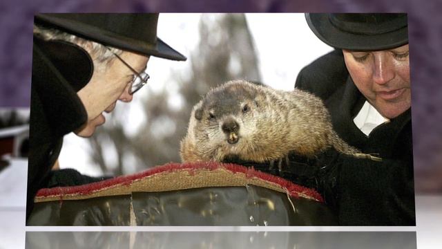 Punxsutawney Phil's Groundhog Day 2012: A Shadowy Science смотреть онлайн