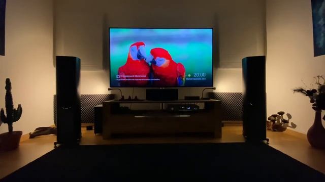 Wharfedale evo 4.4+Arcam SA20+BlueSound 130. смотреть онлайн